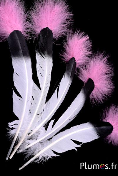 Indianerfedern Indianerfedern